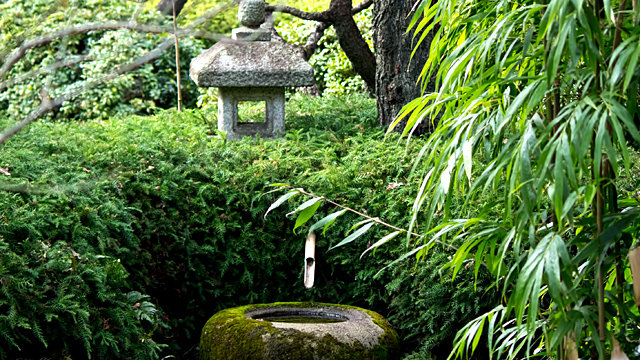 夏の庭園